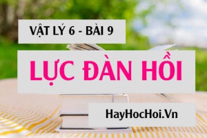 Lực đàn hồi, biến dạng đàn hồi là gì và Đặc điểm của lực đàn hồi là gì? - Vật lý 6 bài 9